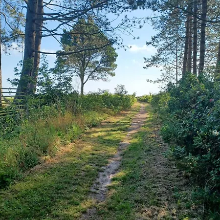 Дом отдыха Charming Summer House At Vejlby Fed Миддельфарт